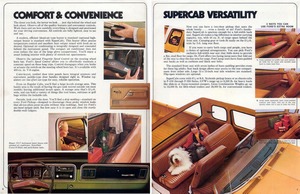 1976 Ford Pickups (Rev)-06-07.jpg